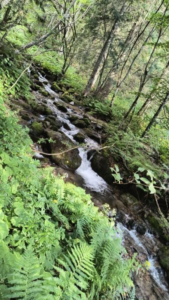 IMG_20240706_174325153_HDR