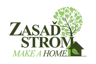 zasadstrom logo