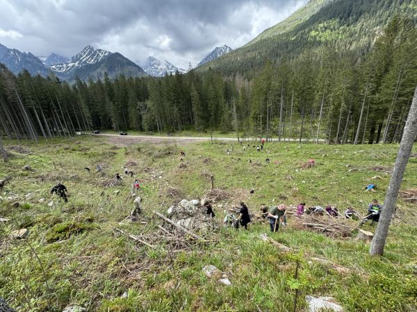 IMG_5262-2