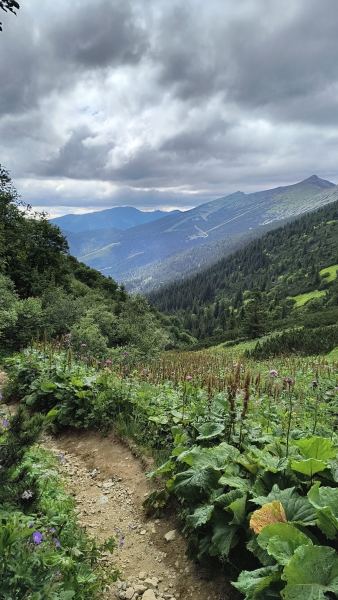 IMG_20240706_161715391_HDR